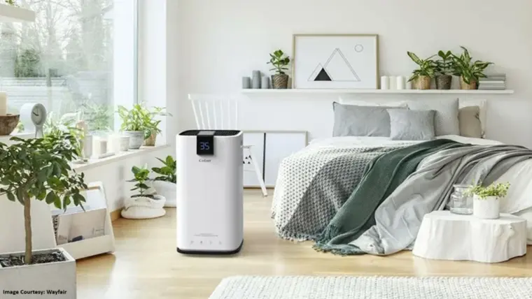best dehumidifier for Monsoon 2026